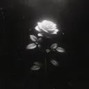 @02.09.05_
