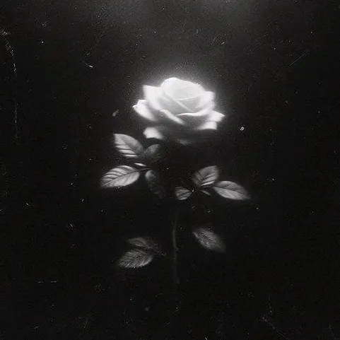 @02.09.05_