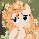@avocadoo1670