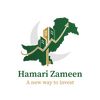 hamari.zameen8
