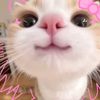 dila.lashes_
