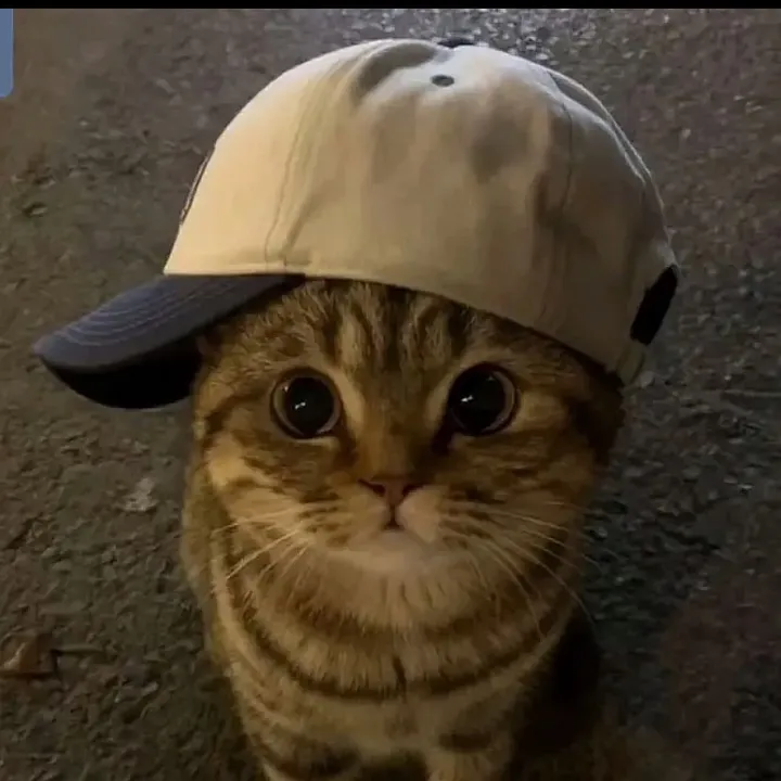 @todpud004_
