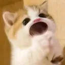 @anhthu090._