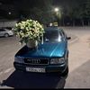 ablekim001