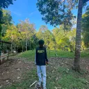 @.s.a.y.n