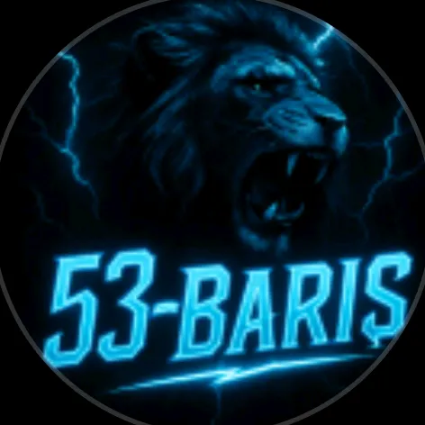bariisss_53