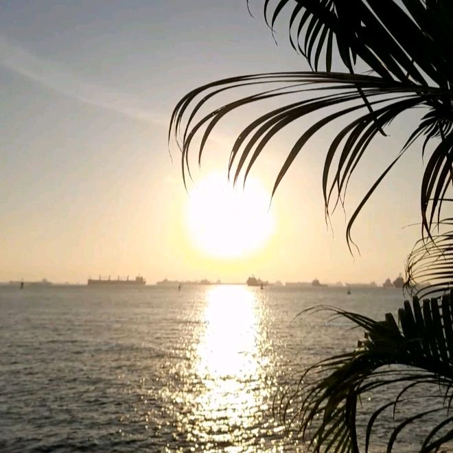 @Umytiktok.Umycom - original sound