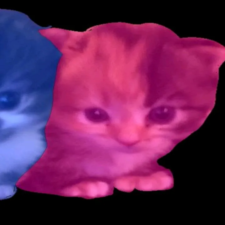 kaardialnaid