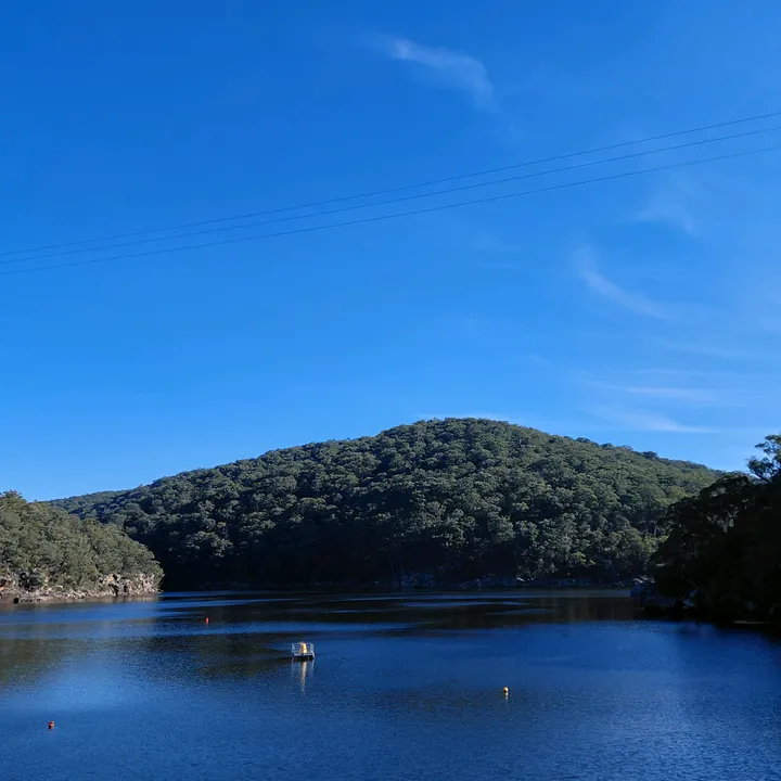 hannah_public1