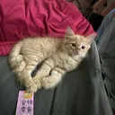 @haha191008