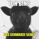 @schwarze_schaf