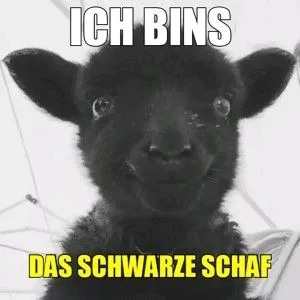 @schwarze_schaf