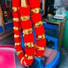 sanjiprasaili