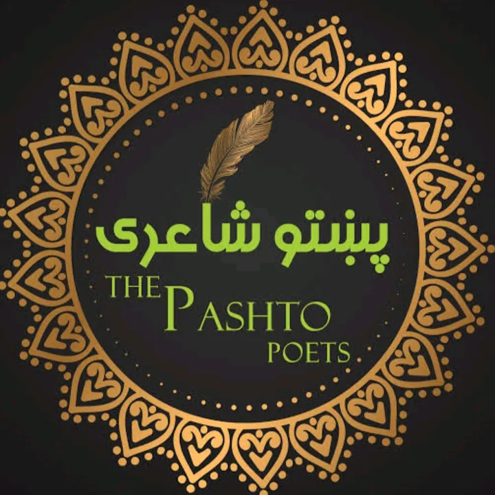 darwish.fida
