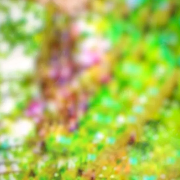 suryaputrakarn0