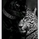 @nour09876544321