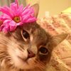zahra.zaydn
