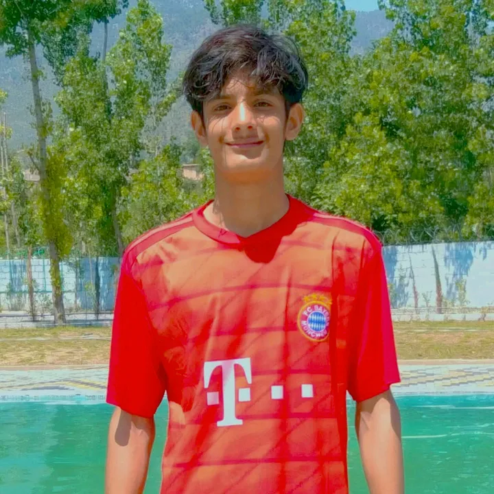 abaas_lion3