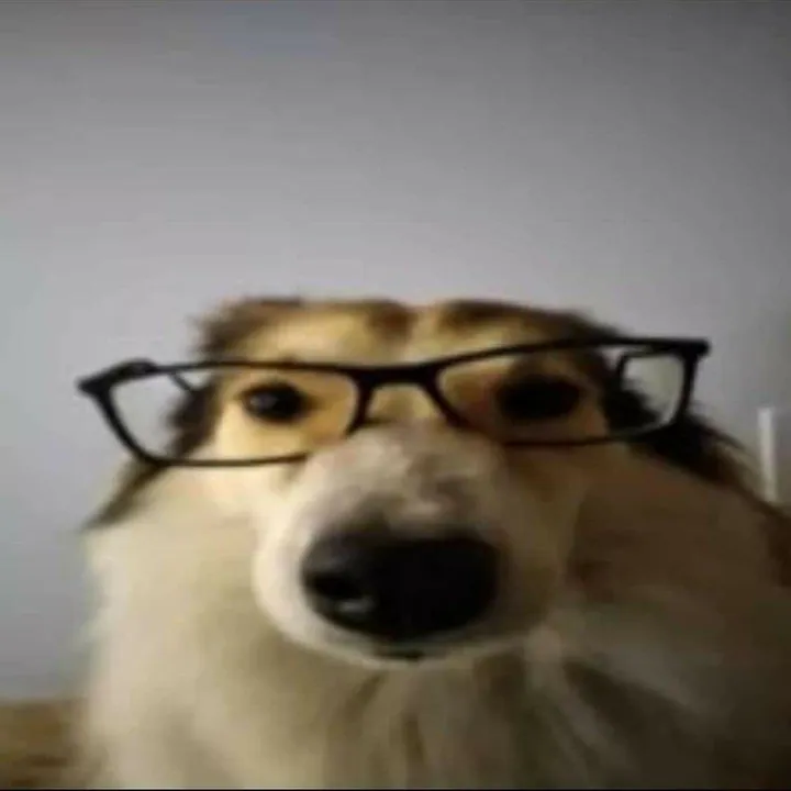 dawgcpm