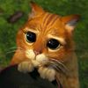 kitty_kitty202