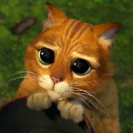 kitty_kitty202