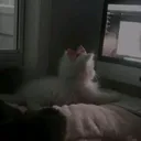 @x_unknown104