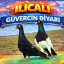 @ilicali46460