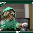 @tigerbellcat