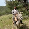 mahmutkuruoglu