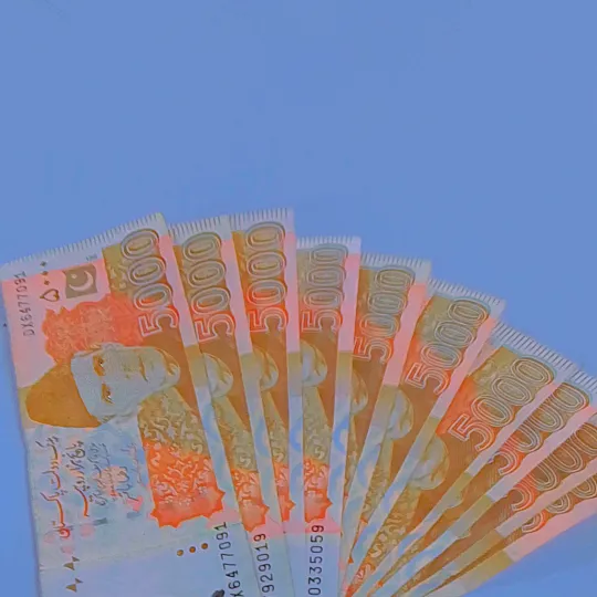 vishaljee61