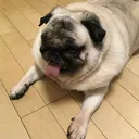 @gothuser