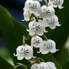 sattar7088