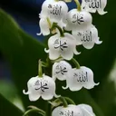 @sattar7088
