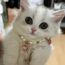 @ghkdrsvogrg