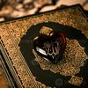 muhammadalimustafai