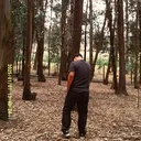 @javssix.m