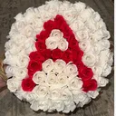 @aua_679