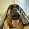 martygsd