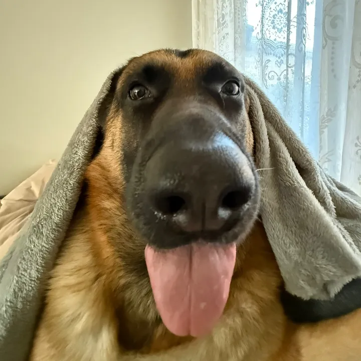 martygsd
