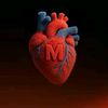 mr_mandip_patel_143
