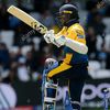 cricket_official94