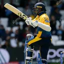 @cricket_official94