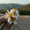 bahar_ilkee
