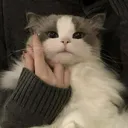 @hiinyan_47