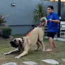 @zeekdetiquez