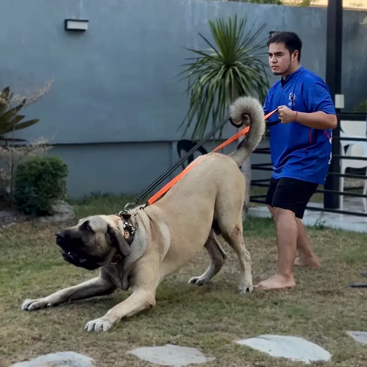 zeekdetiquez