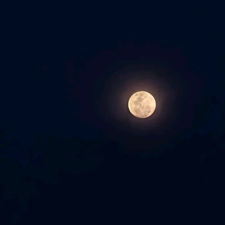 moonxx_bgm