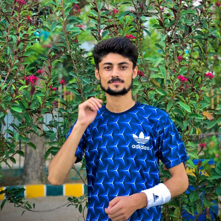 Adeel - original sound