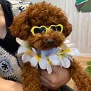 @poohchan.__