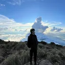 @celkmhh